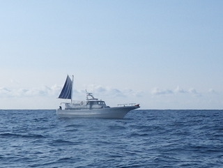 IMGP5490