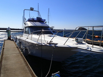 P4123205