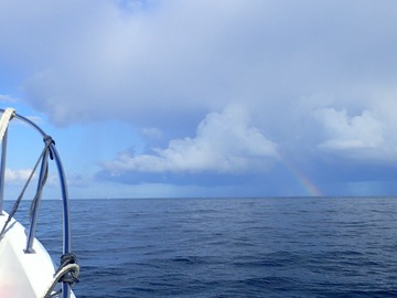P9218990 (2)