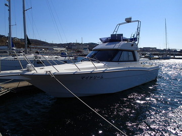 P4123206