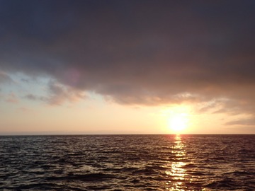 P1249280