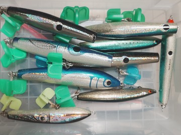 20241015_181344278_R