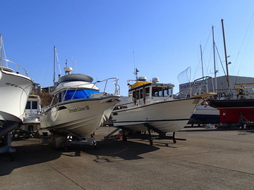 P4123217