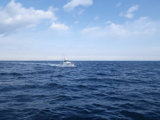 IMGP5512