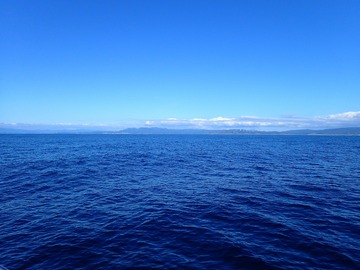 P8088644