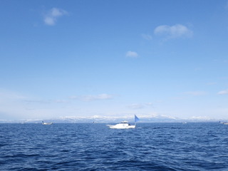 IMGP5496