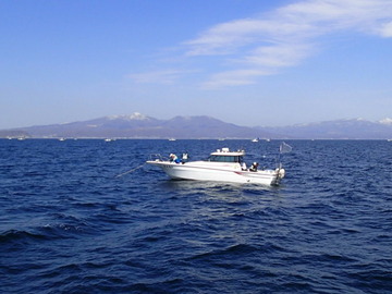 P4133263