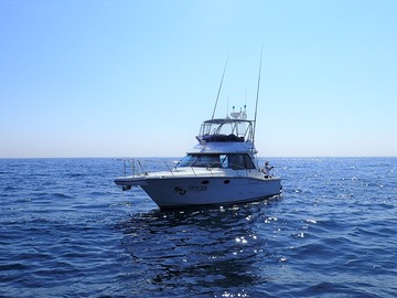 P6139401