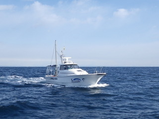 IMGP5513