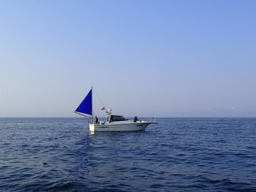 P4263287
