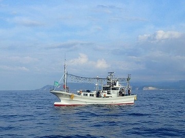 P8018565