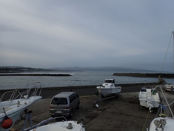 P8088446
