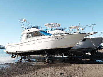 20241005_145203829_R