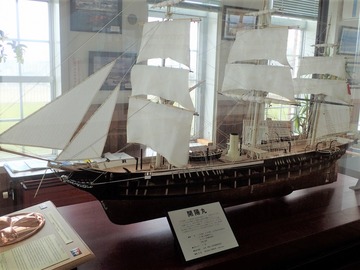 P8088523