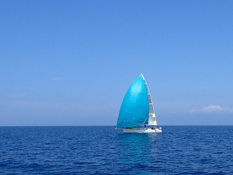 P8201331