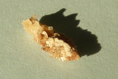 ishi1