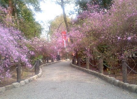 宮山つつじ園 (1)