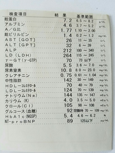 最高の減量手術ブログ Naitsizin2 2