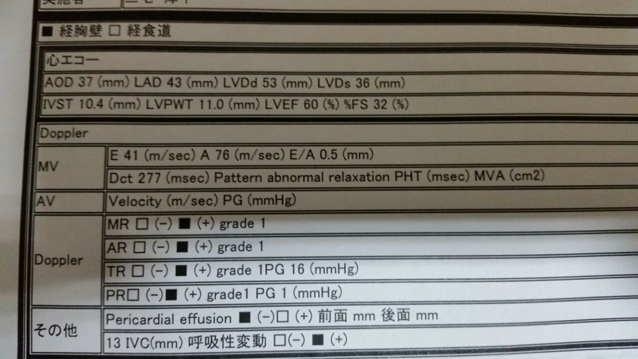 心臓超音波検査報告書 しゅうちゃんの頑張れマイハート 心臓手術体験記
