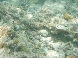 P9270101
