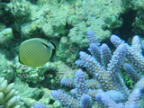 P9290172