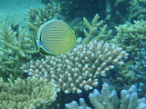 P9290173