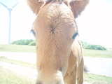 P9270040