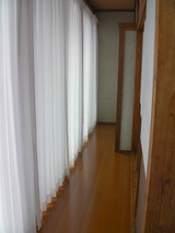 SANY0369