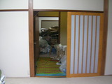 SANY0356