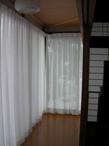 SANY0368