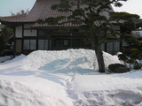 SANY0143