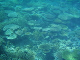 P9290170