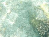 P9270099