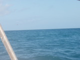 P9290162