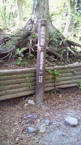 NEC_0006