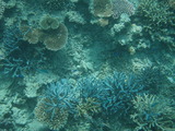 P9290169