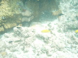 P9270100