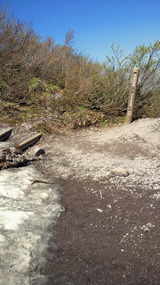NEC_0010