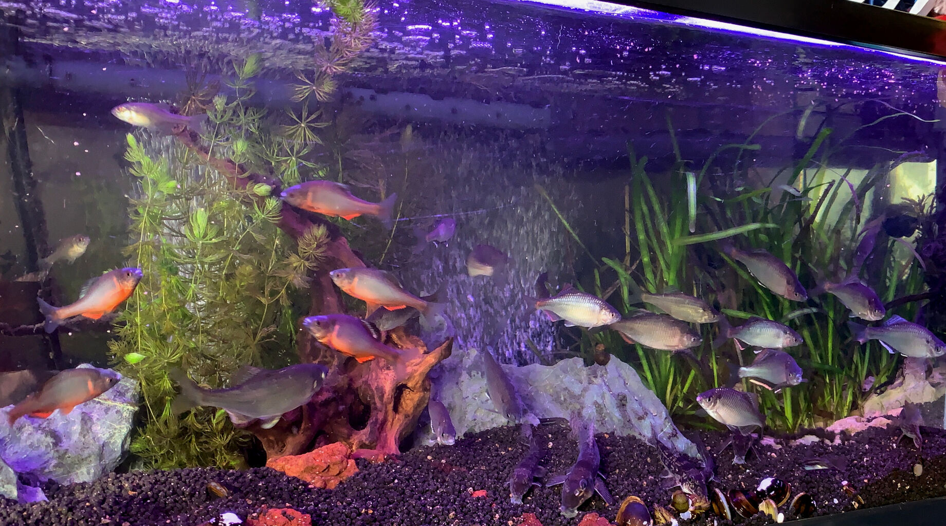 白濁りからの復活 ｍｙ ｌｉｆｅ ｍｙ ｈｏｂｂｙ