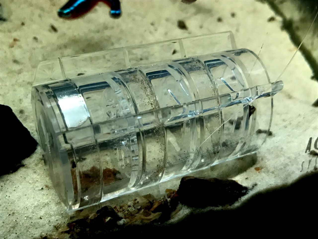 トランペットスネール対策も ｍｙ ｌｉｆｅ ｍｙ ｈｏｂｂｙ