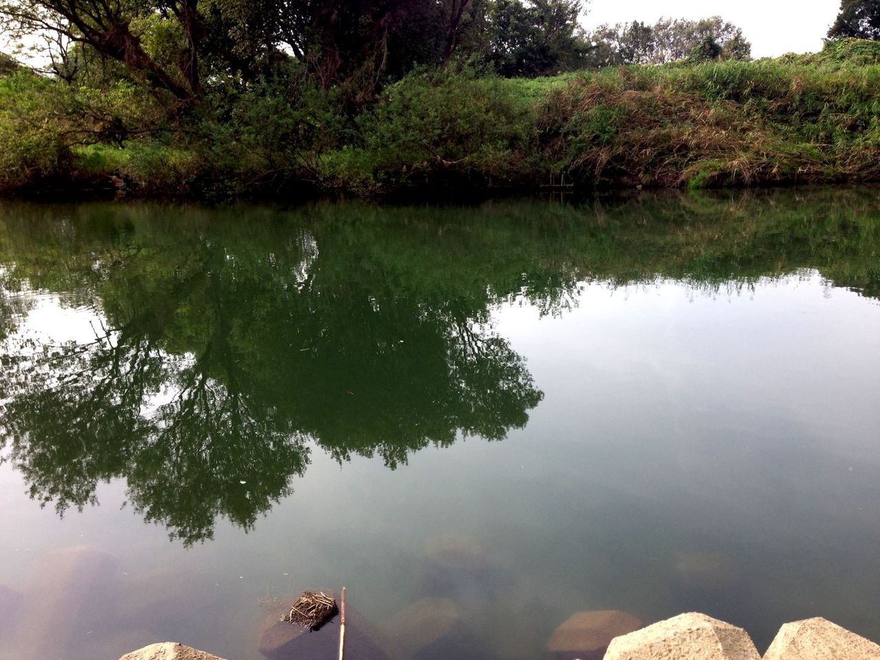 ヤマベ釣り 新規開拓の越辺川で再び束釣り達成 ｍｙ ｌｉｆｅ ｍｙ ｈｏｂｂｙ