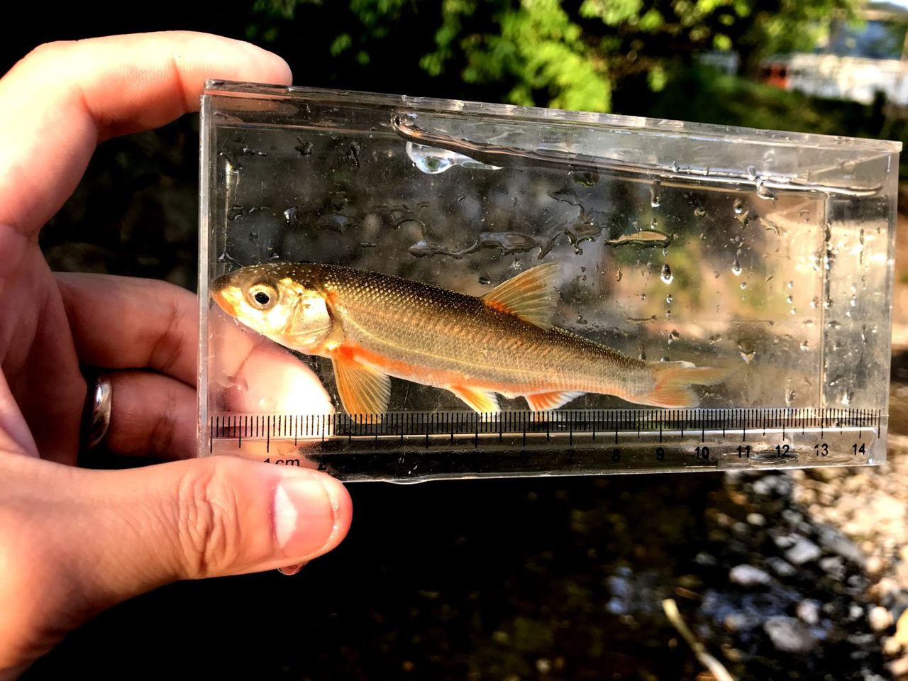 今年の初釣りと思わぬ収穫 ｍｙ ｌｉｆｅ ｍｙ ｈｏｂｂｙ