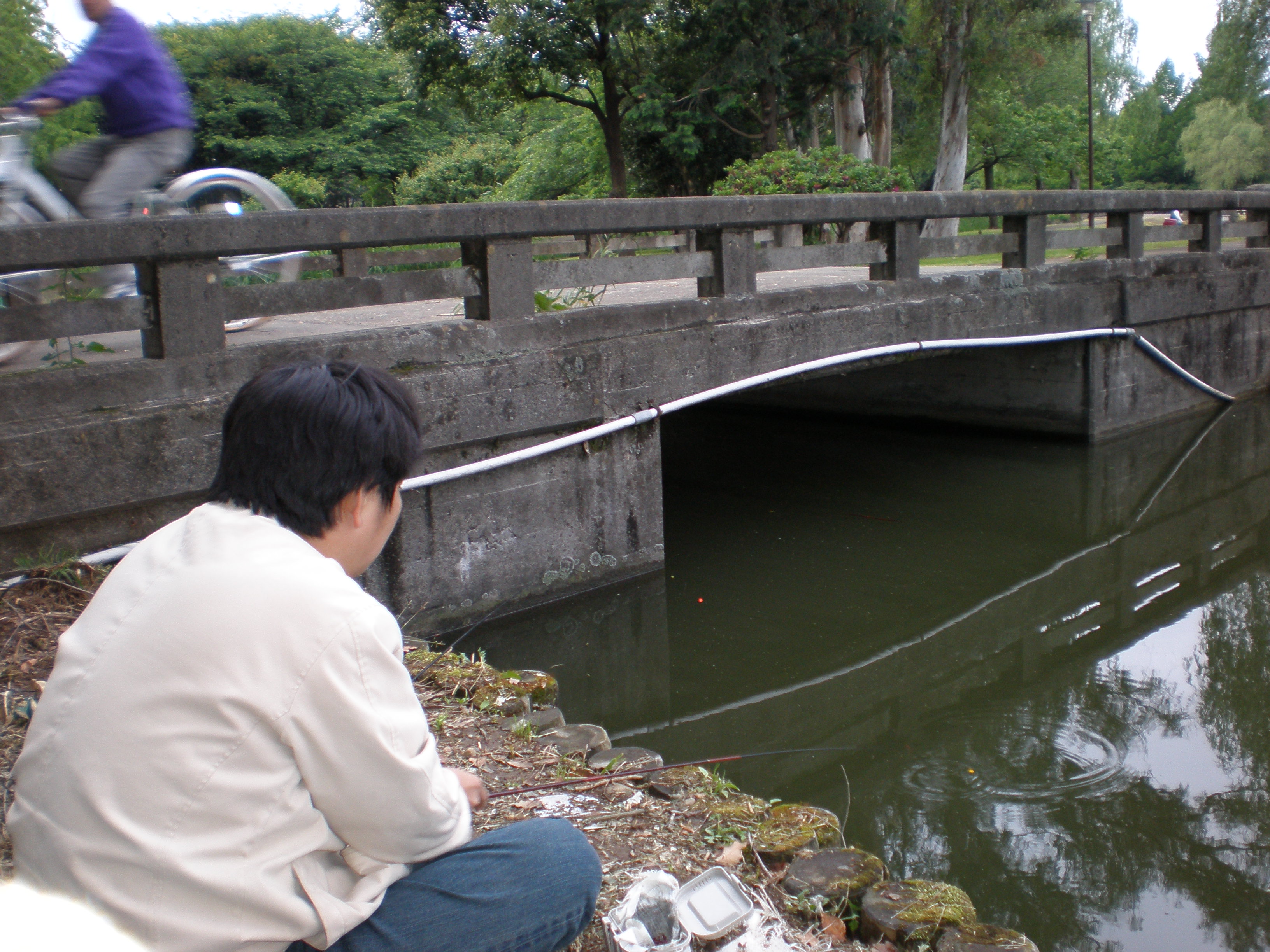 08年5月11日 行田市某公園で手長エビ調査 ｍｙ ｌｉｆｅ ｍｙ ｈｏｂｂｙ