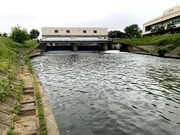 IMG_5352