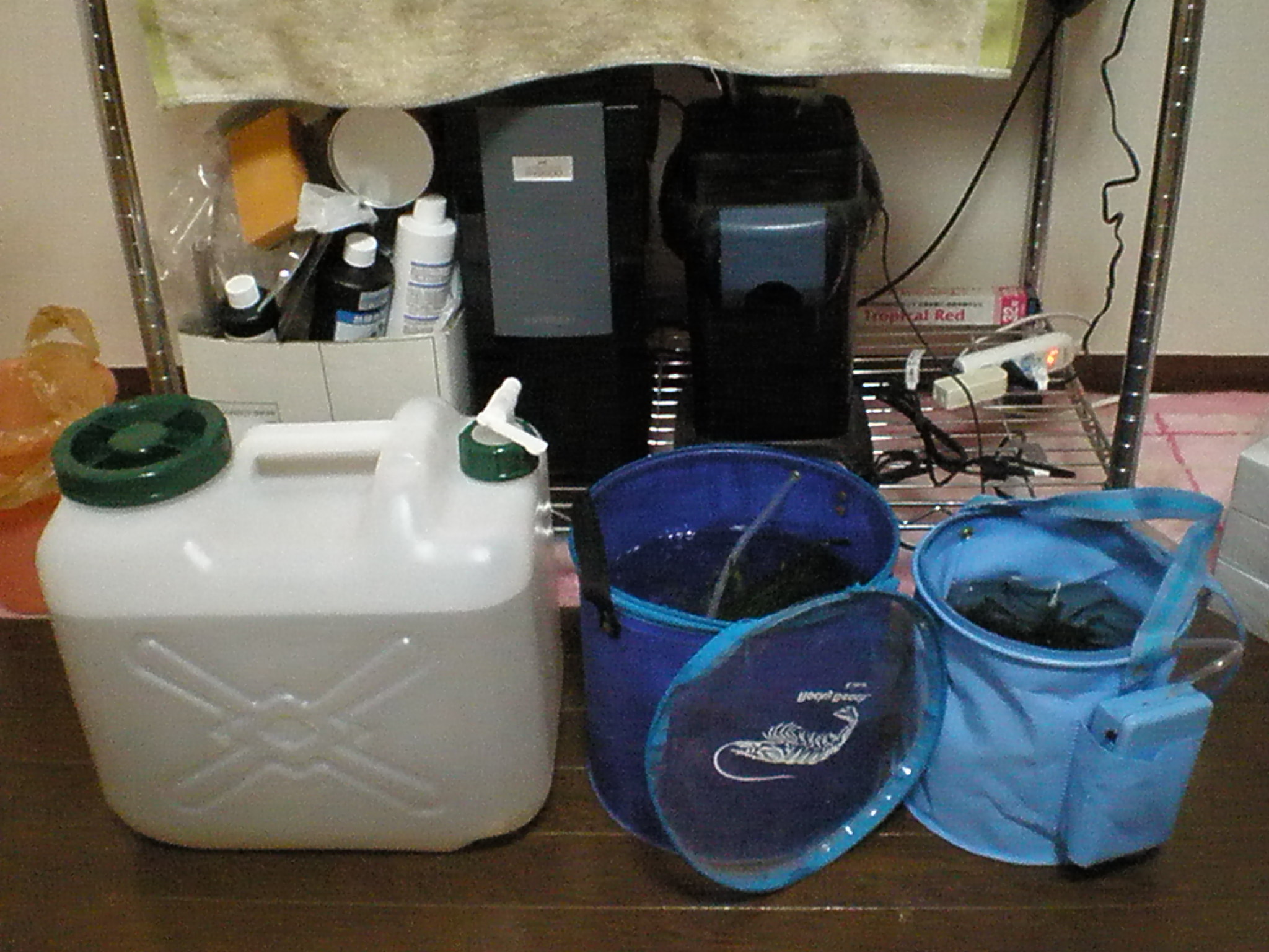 09年5月23日 日淡水槽の引越し ｍｙ ｌｉｆｅ ｍｙ ｈｏｂｂｙ