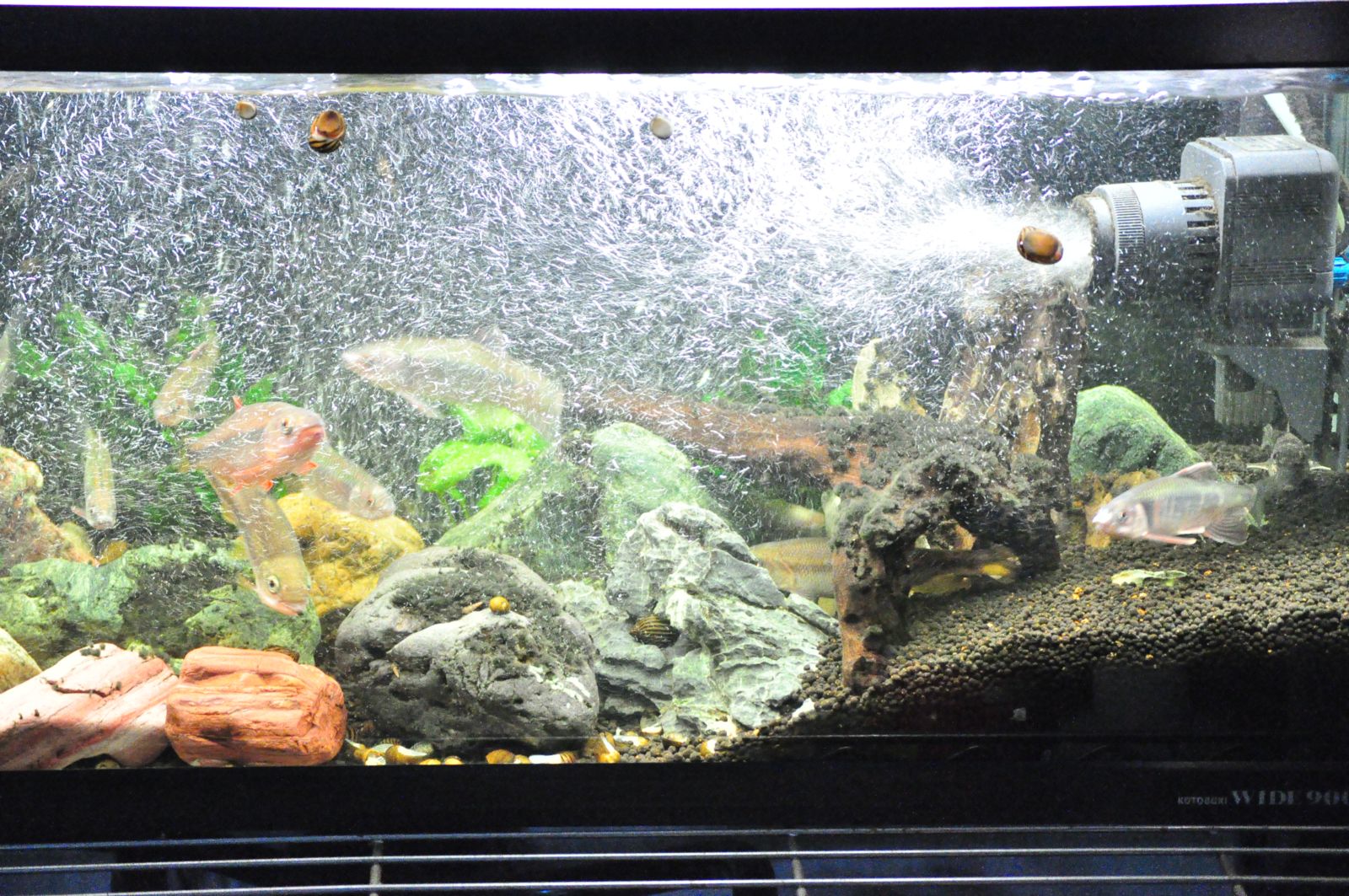 アクシデントを乗越えたオイカワ達 my life my hobby アクシデントを乗越えたオイカワ達 my life my hobby