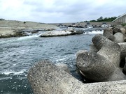 IMG_5348