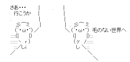 hage_sekai
