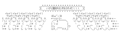 hage_korose