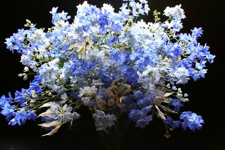 青 水色 そして水が恋しい 妙花抄 三 青 水色 そして水が恋しい 妙花抄 三